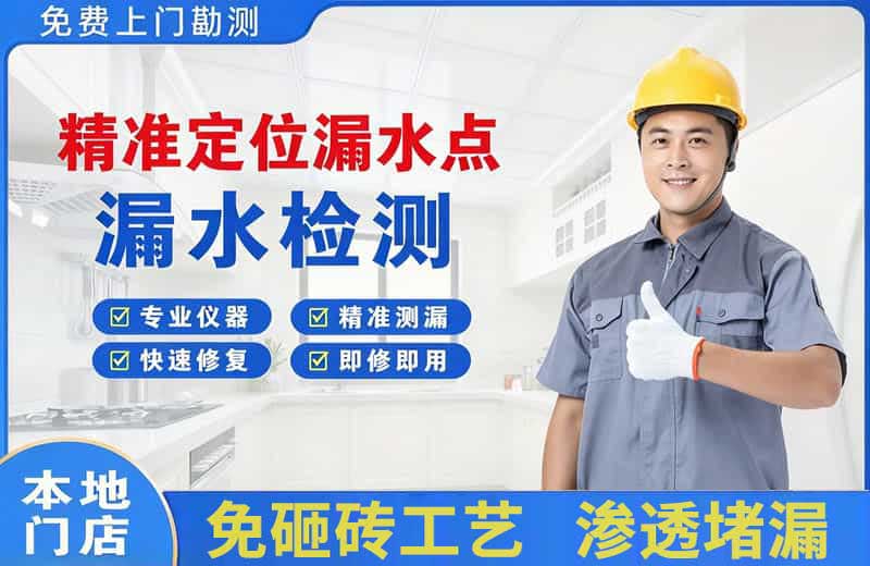 惠农精准测漏点